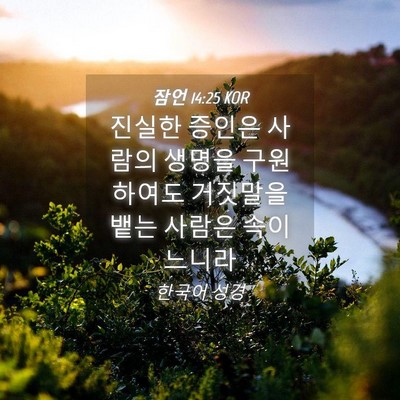 Picture 04 - 잠언 14:25 KOR - 진실한 증인은 사람의 생명을 - Bible Verse Picture