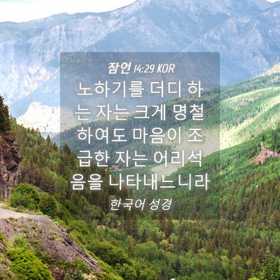 Picture 04 - 잠언 14:29 KOR - 노하기를 더디 하는 자는 크게 - Bible Verse Picture