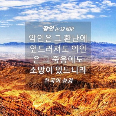 Picture 04 - 잠언 14:32 KOR - 악인은 그 환난에 엎드러져도 의인은 - Bible Verse Picture