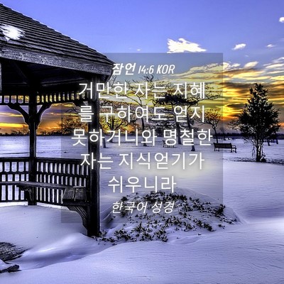 Picture 04 - 잠언 14:6 KOR - 거만한 자는 지혜를 구하여도 얻지 - Bible Verse Picture