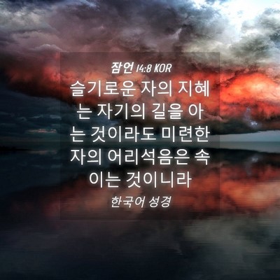 Picture 04 - 잠언 14:8 KOR - 슬기로운 자의 지혜는 자기의 길을 - Bible Verse Picture