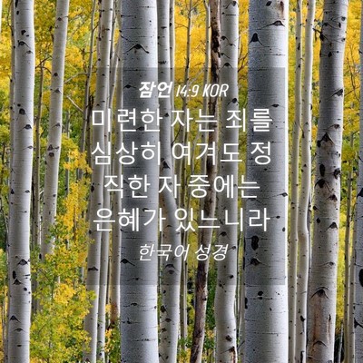 Picture 04 - 잠언 14:9 KOR - 미련한 자는 죄를 심상히 여겨도 - Bible Verse Picture