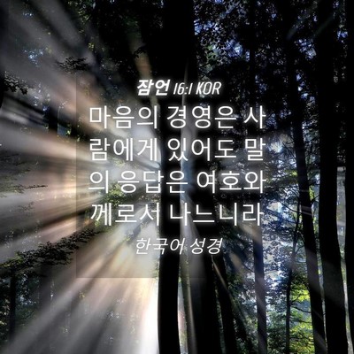 Picture 04 - 잠언 16:1 KOR - 마음의 경영은 사람에게 있어도 말의 - Bible Verse Picture