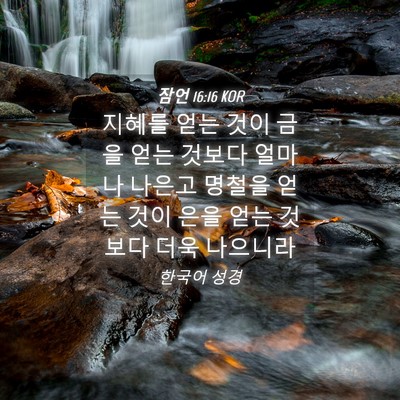 Picture 04 - 잠언 16:16 KOR - 지혜를 얻는 것이 금을 얻는 것보다 - Bible Verse Picture