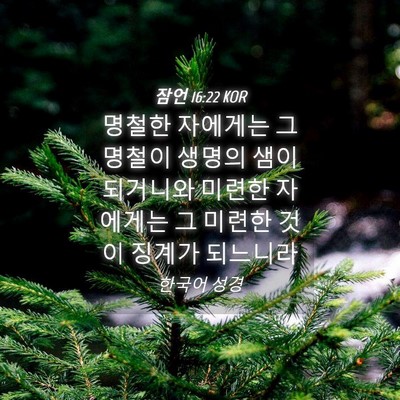 Picture 04 - 잠언 16:22 KOR - 명철한 자에게는 그 명철이 생명의 - Bible Verse Picture