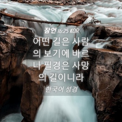 Picture 04 - 잠언 16:25 KOR - 어떤 길은 사람의 보기에 바르나 - Bible Verse Picture