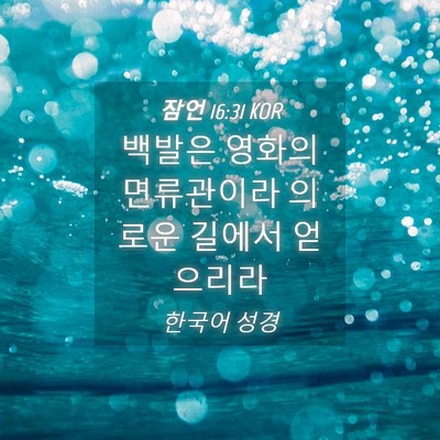 Picture 04 - 잠언 16:31 KOR - 백발은 영화의 면류관이라 의로운 - Bible Verse Picture