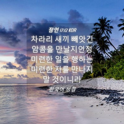 Picture 04 - 잠언 17:12 KOR - 차라리 새끼 빼앗긴 암콤을 - Bible Verse Picture