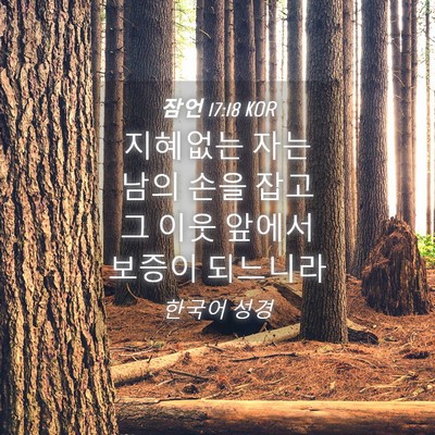Picture 04 - 잠언 17:18 KOR - 지혜없는 자는 남의 손을 잡고 그 - Bible Verse Picture
