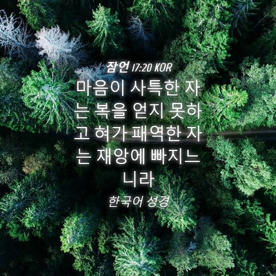Picture 04 - 잠언 17:20 KOR - 마음이 사특한 자는 복을 얻지 - Bible Verse Picture