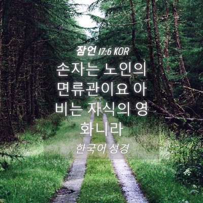 Picture 04 - 잠언 17:6 KOR - 손자는 노인의 면류관이요 아비는 - Bible Verse Picture