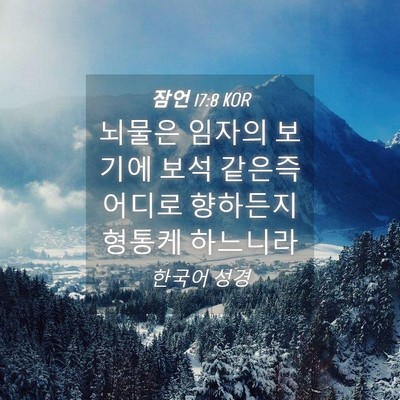 Picture 04 - 잠언 17:8 KOR - 뇌물은 임자의 보기에 보석 같은즉 - Bible Verse Picture