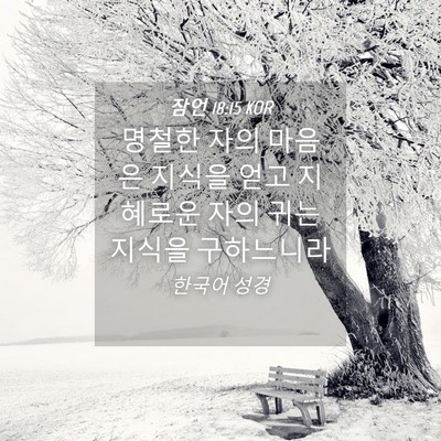 Picture 04 - 잠언 18:15 KOR - 명철한 자의 마음은 지식을 얻고 - Bible Verse Picture