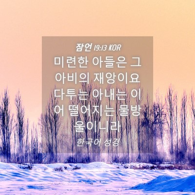 Picture 04 - 잠언 19:13 KOR - 미련한 아들은 그 아비의 재앙이요 - Bible Verse Picture