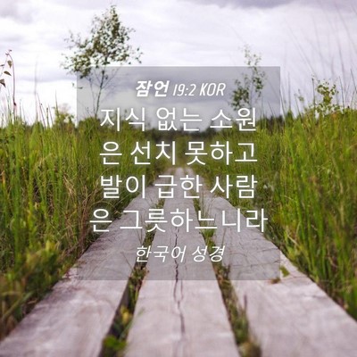 Picture 04 - 잠언 19:2 KOR - 지식 없는 소원은 선치 못하고 발이 - Bible Verse Picture