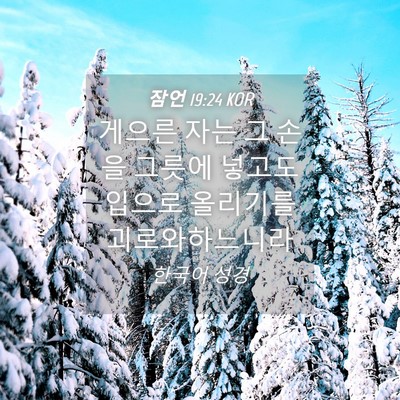Picture 04 - 잠언 19:24 KOR - 게으른 자는 그 손을 그릇에 넣고도 - Bible Verse Picture