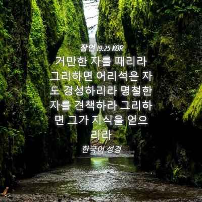 Picture 04 - 잠언 19:25 KOR - 거만한 자를 때리라 그리하면 - Bible Verse Picture