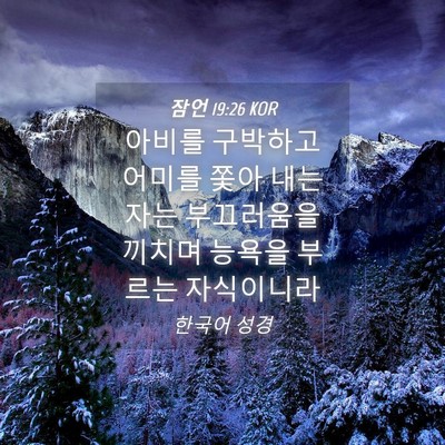 Picture 04 - 잠언 19:26 KOR - 아비를 구박하고 어미를 쫓아 내는 - Bible Verse Picture