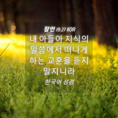 Picture 04 - 잠언 19:27 KOR - 내 아들아 지식의 말씀에서 떠나게 - Bible Verse Picture