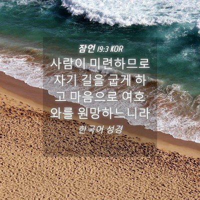 Picture 04 - 잠언 19:3 KOR - 사람이 미련하므로 자기 길을 굽게 - Bible Verse Picture