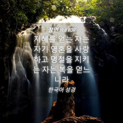 Picture 04 - 잠언 19:8 KOR - 지혜를 얻는 자는 자기 영혼을 - Bible Verse Picture