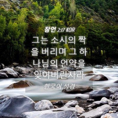 Picture 04 - 잠언 2:17 KOR - 그는 소시의 짝을 버리며 그 - Bible Verse Picture