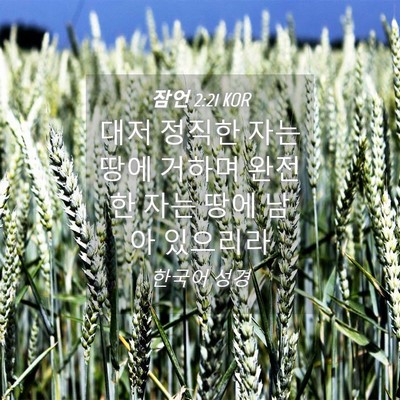 Picture 04 - 잠언 2:21 KOR - 대저 정직한 자는 땅에 거하며 - Bible Verse Picture