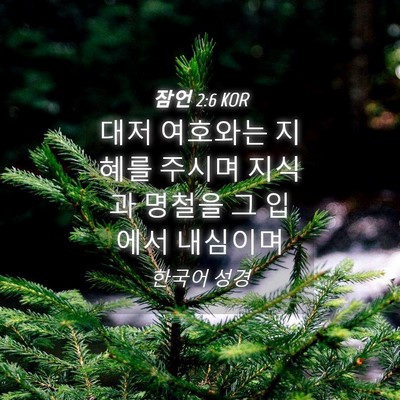 Picture 04 - 잠언 2:6 KOR - 대저 여호와는 지혜를 주시며 지식과 - Bible Verse Picture
