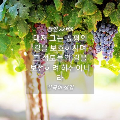 Picture 04 - 잠언 2:8 KOR - 대저 그는 공평의 길을 보호하시며 - Bible Verse Picture