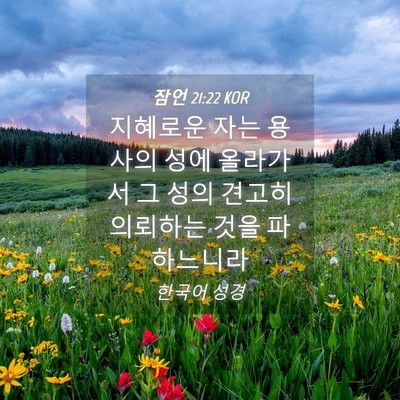 Picture 04 - 잠언 21:22 KOR - 지혜로운 자는 용사의 성에 올라가서 - Bible Verse Picture