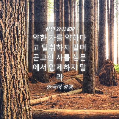 Picture 04 - 잠언 22:22 KOR - 약한 자를 약하다고 탈취하지 말며 - Bible Verse Picture