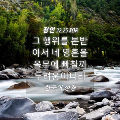 Picture 04 - 잠언 22:25 KOR - 그 행위를 본받아서 네 영혼을 - Bible Verse Picture