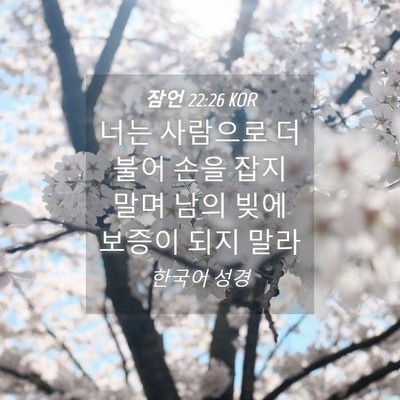 Picture 04 - 잠언 22:26 KOR - 너는 사람으로 더불어 손을 잡지 - Bible Verse Picture