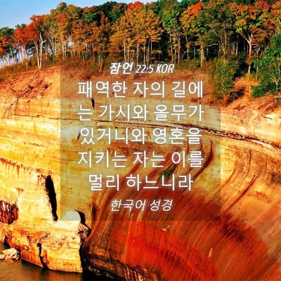 Picture 04 - 잠언 22:5 KOR - 패역한 자의 길에는 가시와 올무가 - Bible Verse Picture