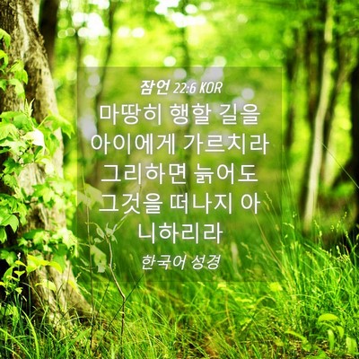 Picture 04 - 잠언 22:6 KOR - 마땅히 행할 길을 아이에게 가르치라 - Bible Verse Picture