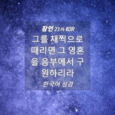 Picture 04 - 잠언 23:14 KOR - 그를 채찍으로 때리면 그 영혼을 - Bible Verse Picture