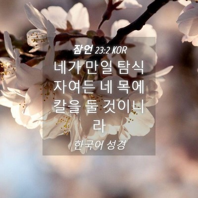 Picture 04 - 잠언 23:2 KOR - 네가 만일 탐식자여든 네 목에 칼을 - Bible Verse Picture