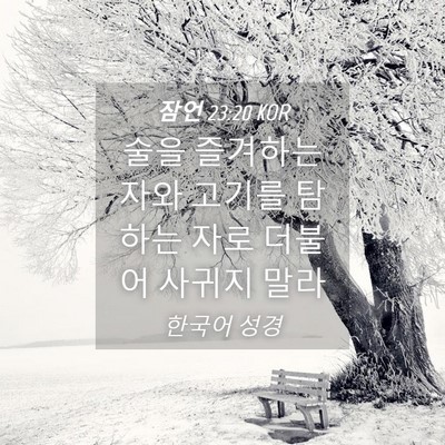 Picture 04 - 잠언 23:20 KOR - 술을 즐겨하는 자와 고기를 탐하는 - Bible Verse Picture