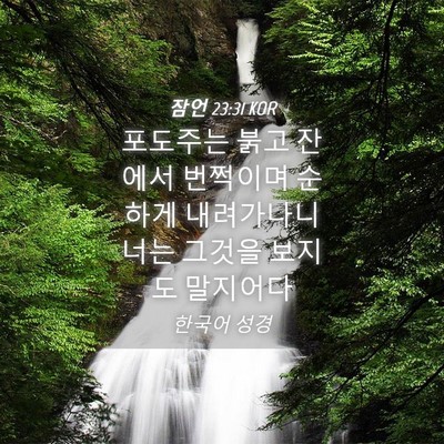 Picture 04 - 잠언 23:31 KOR - 포도주는 붉고 잔에서 번쩍이며 - Bible Verse Picture