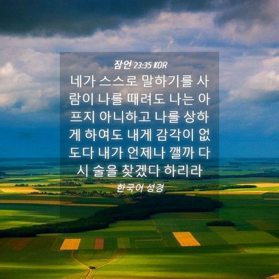 Picture 04 - 잠언 23:35 KOR - 네가 스스로 말하기를 사람이 나를 - Bible Verse Picture