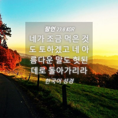 Picture 04 - 잠언 23:8 KOR - 네가 조금 먹은 것도 토하겠고 네 - Bible Verse Picture
