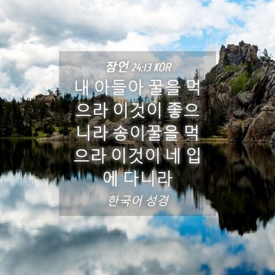 Picture 04 - 잠언 24:13 KOR - 내 아들아 꿀을 먹으라 이것이 - Bible Verse Picture