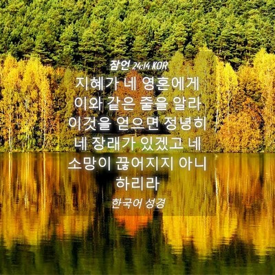 Picture 04 - 잠언 24:14 KOR - 지혜가 네 영혼에게 이와 같은 줄을 - Bible Verse Picture