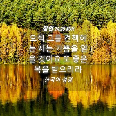 Picture 04 - 잠언 24:25 KOR - 오직 그를 견책하는 자는 기쁨을 - Bible Verse Picture