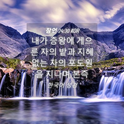 Picture 04 - 잠언 24:30 KOR - 내가 증왕에 게으른 자의 밭과 지혜 - Bible Verse Picture