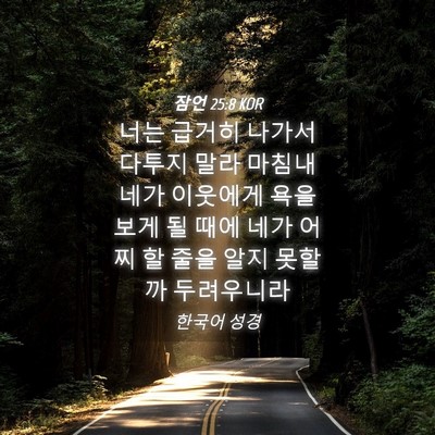 Picture 04 - 잠언 25:8 KOR - 너는 급거히 나가서 다투지 말라 - Bible Verse Picture
