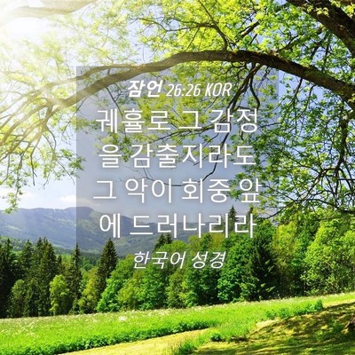 Picture 04 - 잠언 26:26 KOR - 궤휼로 그 감정을 감출지라도 그 - Bible Verse Picture