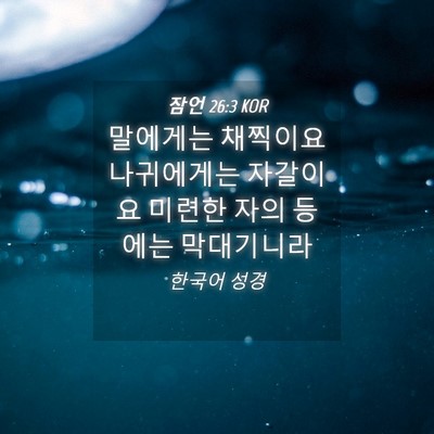 Picture 04 - 잠언 26:3 KOR - 말에게는 채찍이요 나귀에게는 - Bible Verse Picture