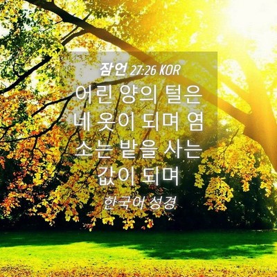 Picture 04 - 잠언 27:26 KOR - 어린 양의 털은 네 옷이 되며 염소는 - Bible Verse Picture