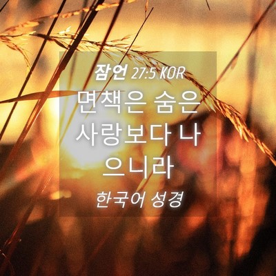Picture 04 - 잠언 27:5 KOR - 면책은 숨은 사랑보다 - Bible Verse Picture